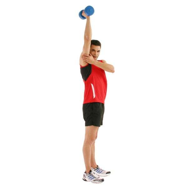Krafttraining Trizeps Training