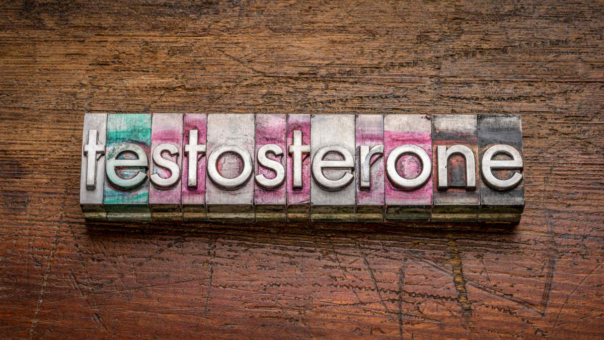 Muskelaufbau Testosteron